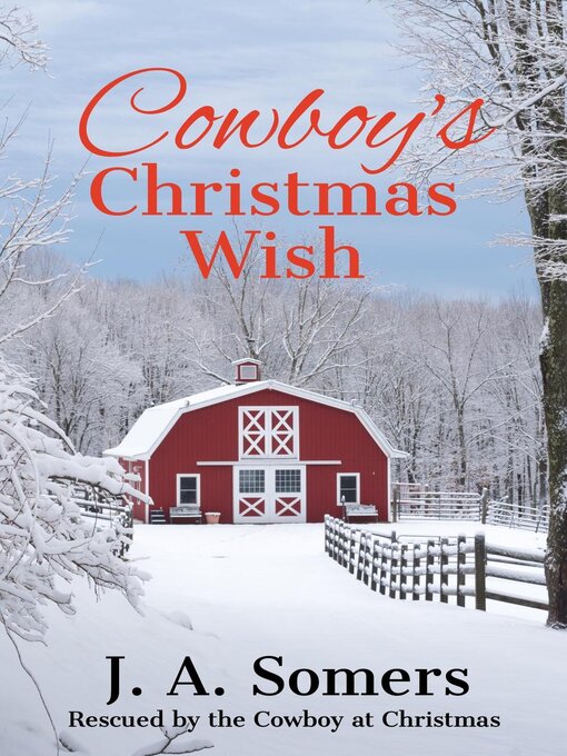 Title details for Cowboy's Christmas Wish by J. A. Somers - Available